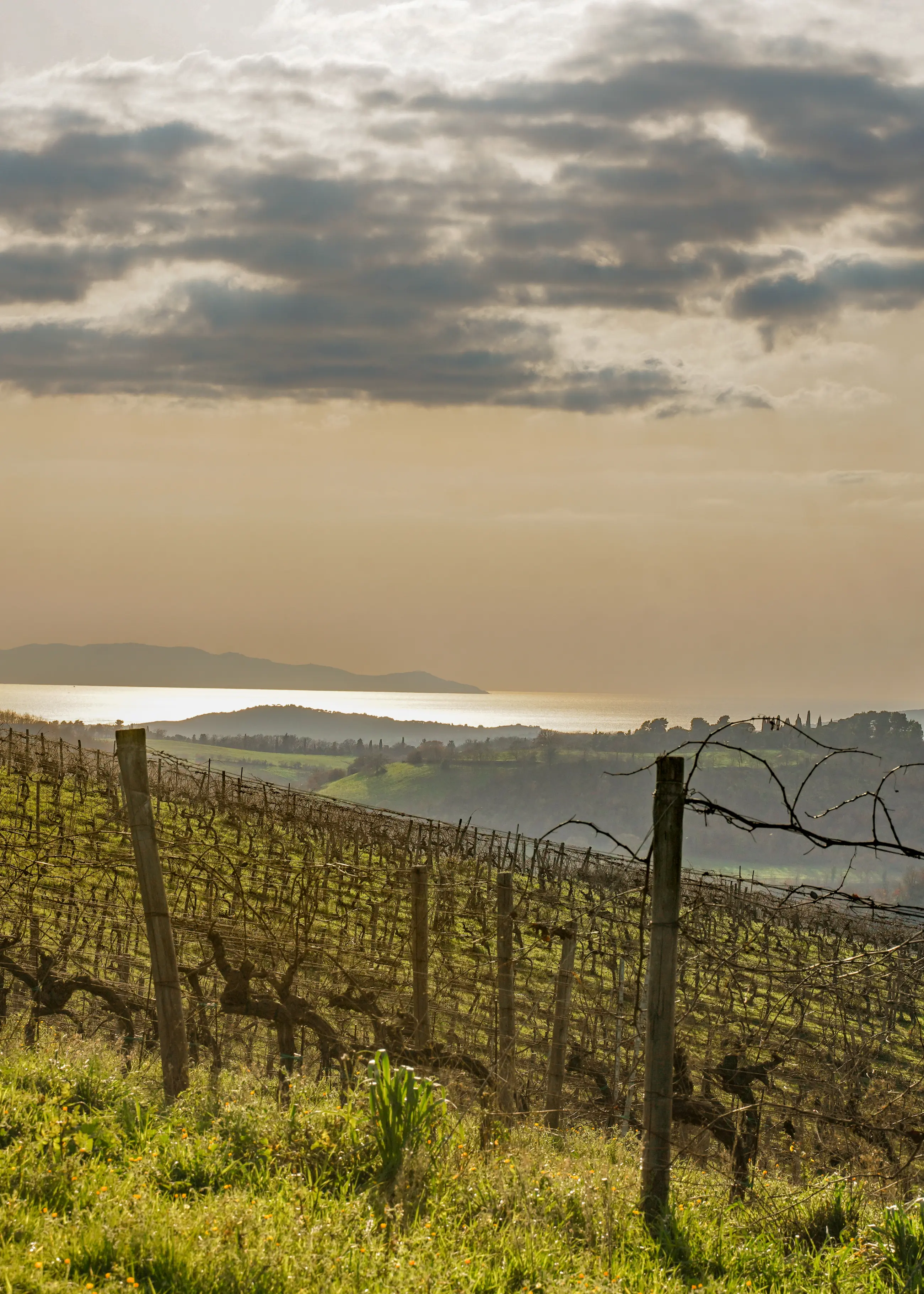 la luce della maremma